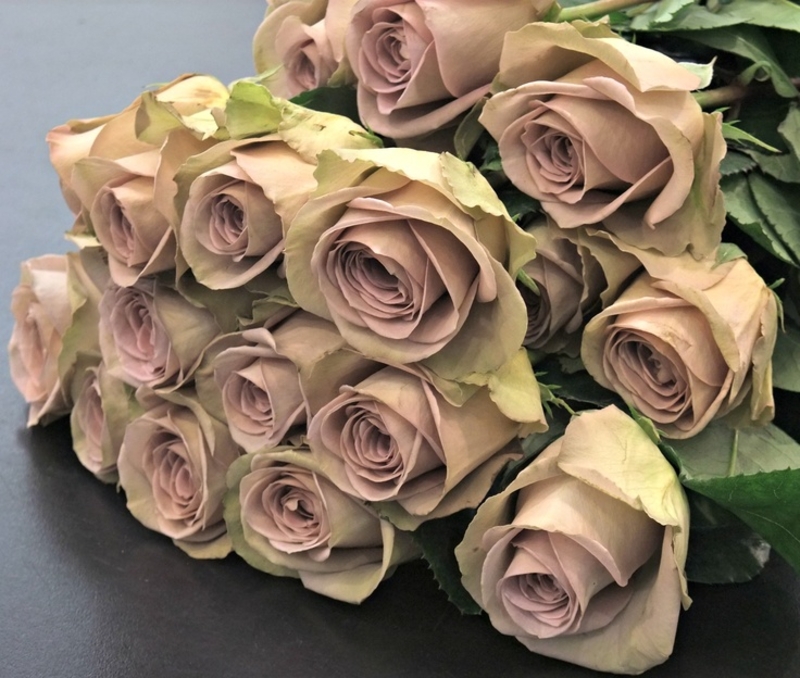 Rosa - Amnesia - imagine 6